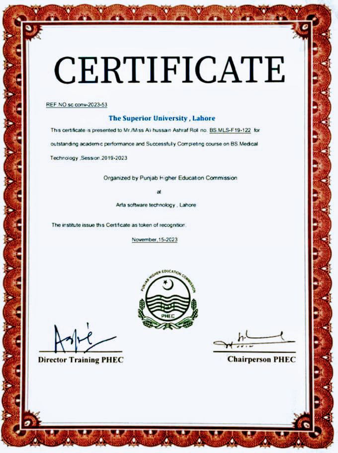 Ali Hussain English Typing, MS Office