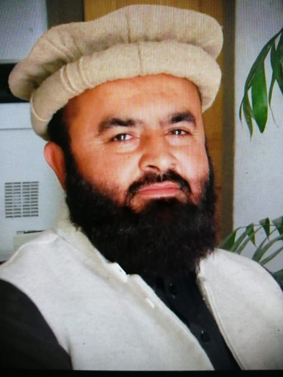 Ali Gohar Profile Ali Gohar Profile