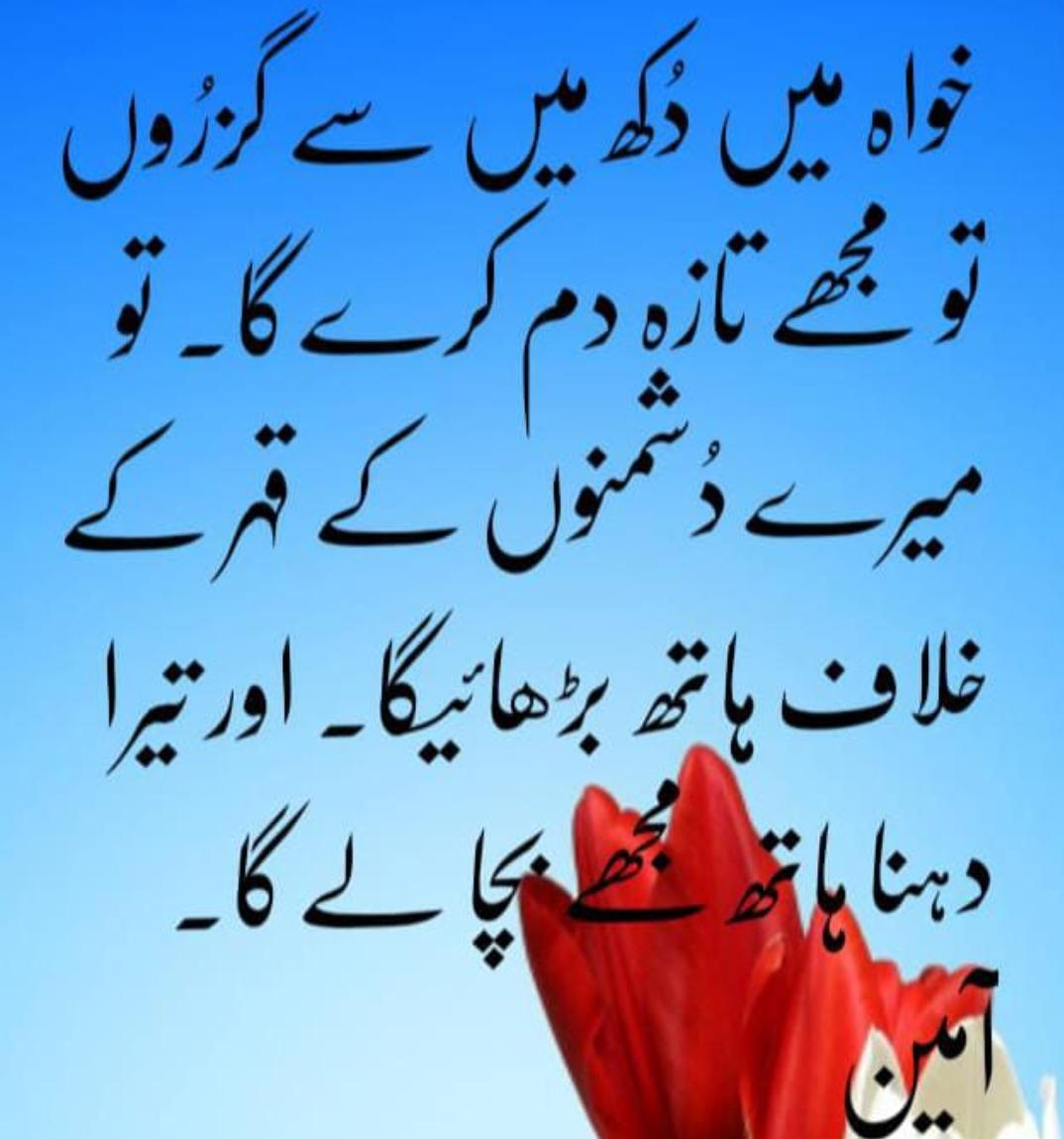 Qasim Bashir Profile Qasim Bashir Profile