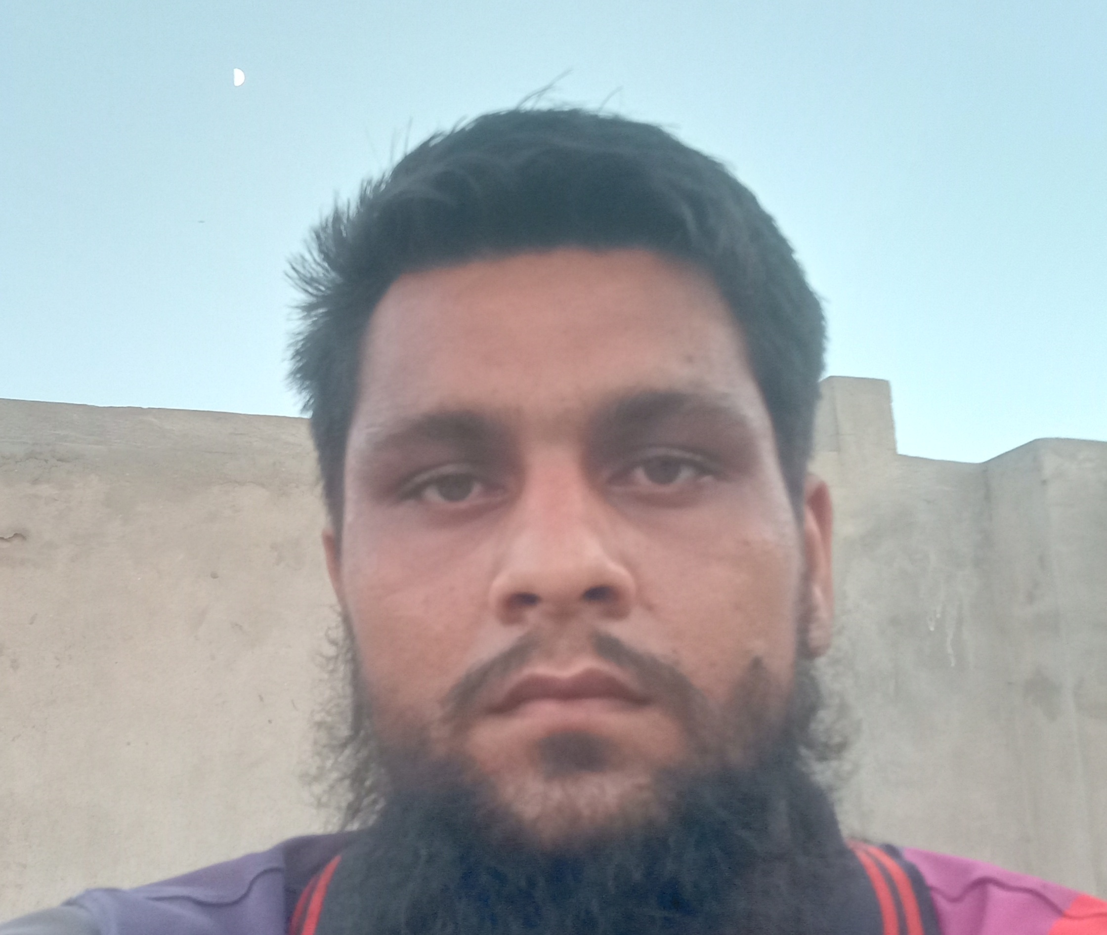 Ahmad Ali Urdu Typing, English Typing, MS Office, Canva, CV Design, Live Survey, Data Entry, Microsoft Office