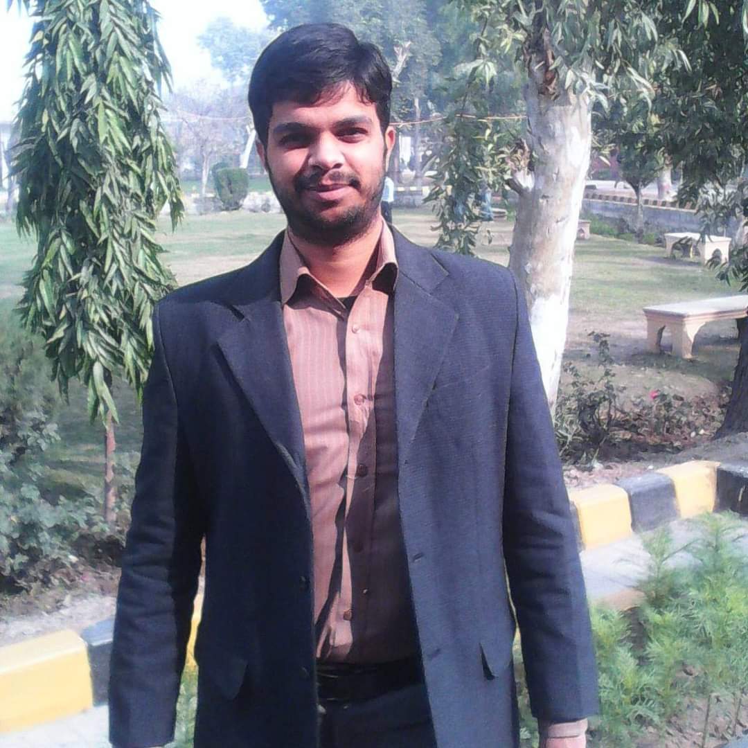 Muhammad Sajjad Investment Banking, English Typing, Content Writing, Column Installation, Freelance, Journalist