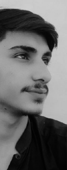 HUSSAIN SHOUKAT Profile