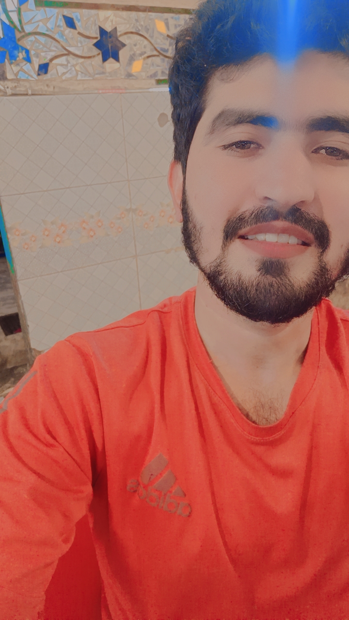 Muhammad Anees Computer Support, English Grammar, English Typing, Research Writing, Web Development, Typing, Zoom, Animation, Advertisement Design, Proofreading