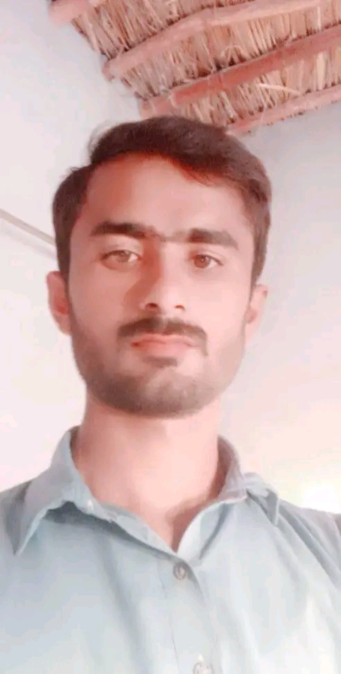 Mujahid Hussain English Typing, Banner Design, Business Development, Data Analytics, HTML, Business Intelligence, Digital Marketing, Communications