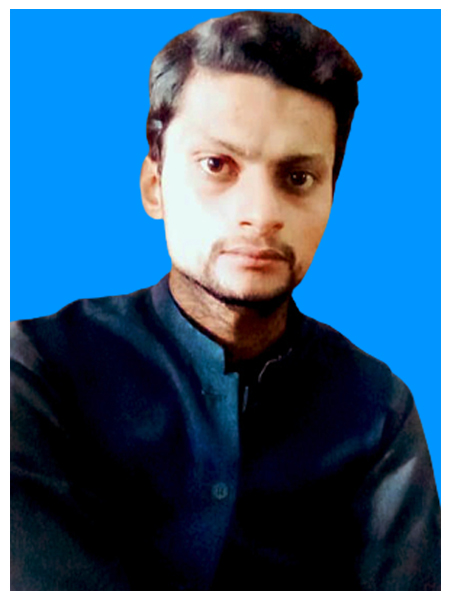 Hammad Ali Urdu Typing, English Typing, MS Office, Adobe Photoshop, Wordpress, Logo Design