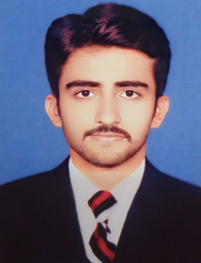 Muhammad Zain Raza English Typing, Cooking, MS Office, Photo Editing, Word, Canva, CV Design, Excel, Bookkeeping, Statistics
