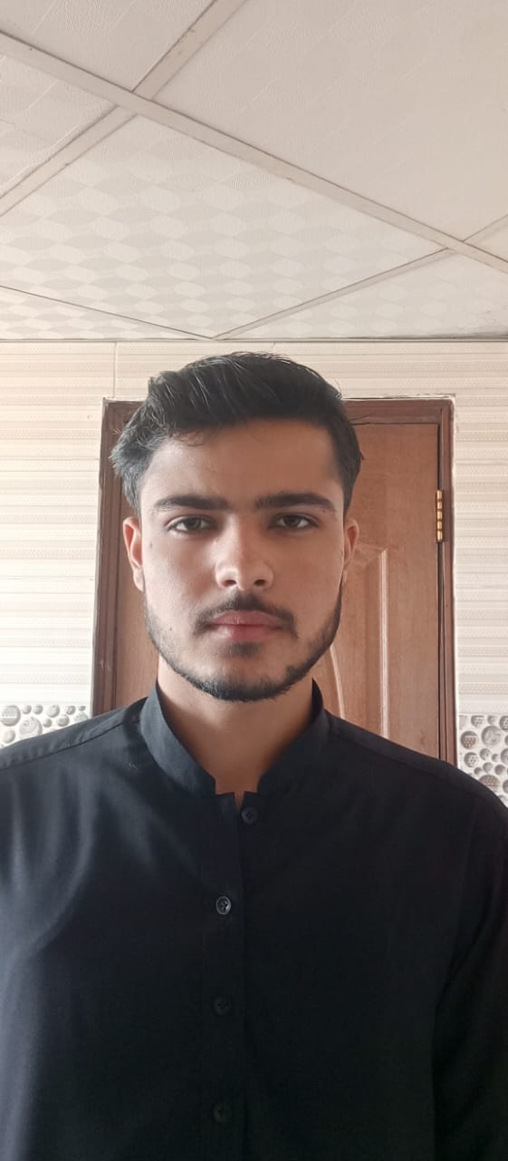 Wajahat Ali MS Office, IT Project Management, Compliance