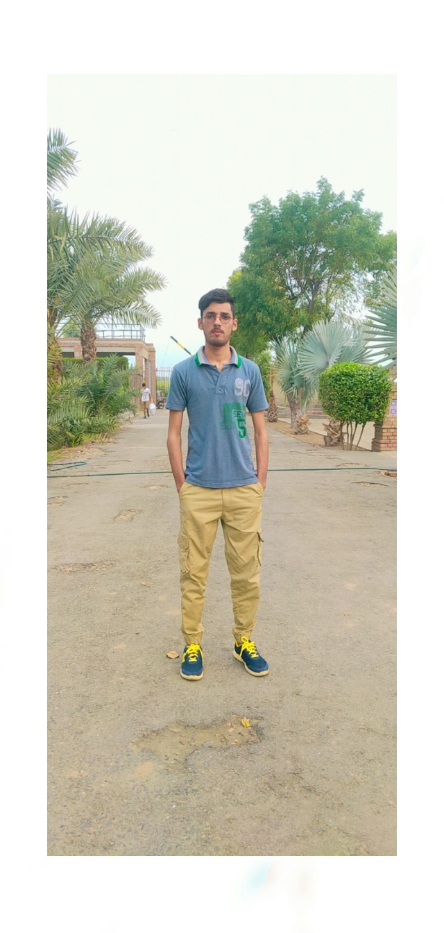 Syed Muhammad Alyan Naqvi Profile Syed Muhammad Alyan Naqvi Profile