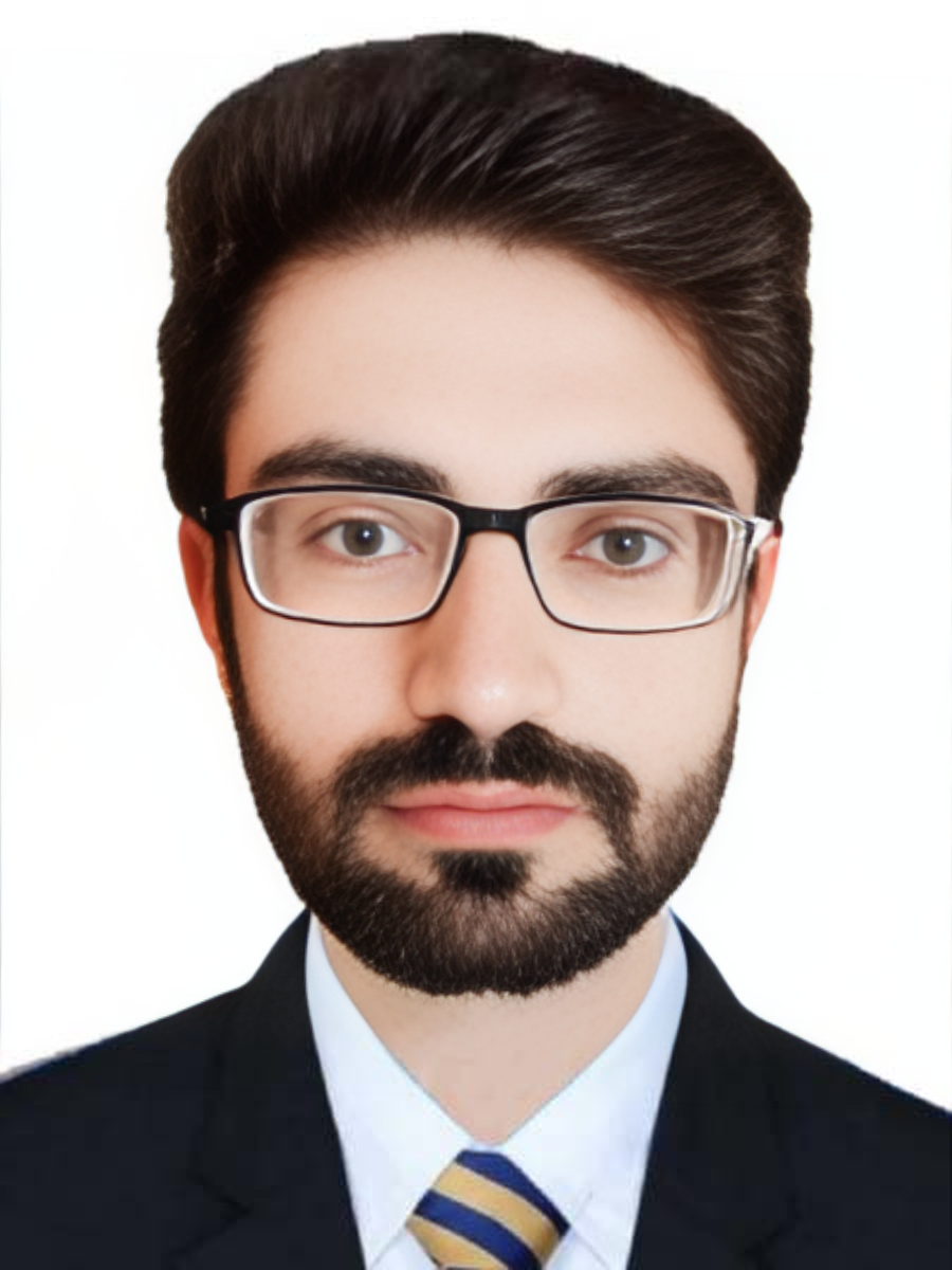 Kamran Khan English Typing, Health Care Management, Global Mobility, Finance Transformation, Financial Analysis, Health Plans Digitization, Medical Translation, Medical Billing And Coding, Sourcing, Risk Assessment