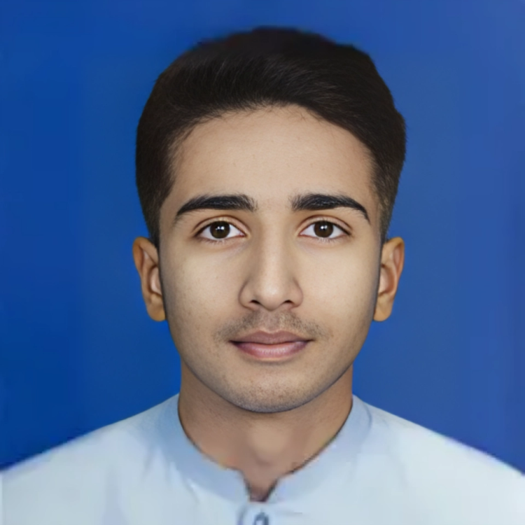 Moiz Ahmed Data Entry, MS Office, Graphic Design, UI, UX, Creative Design