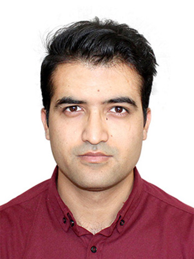 SHAHBAZ HANIF MS Office, Presentations