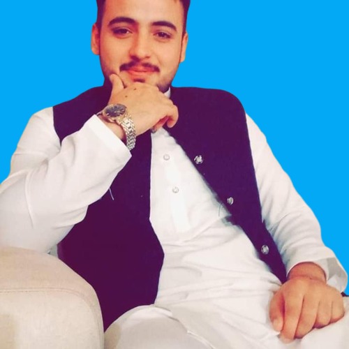 Sheroz Ahmed English Typing, MS Office, Android Studio, Visual Studio, Front-end Design, App Developer, Web Security, Cooking, MySQL, Data Analysis