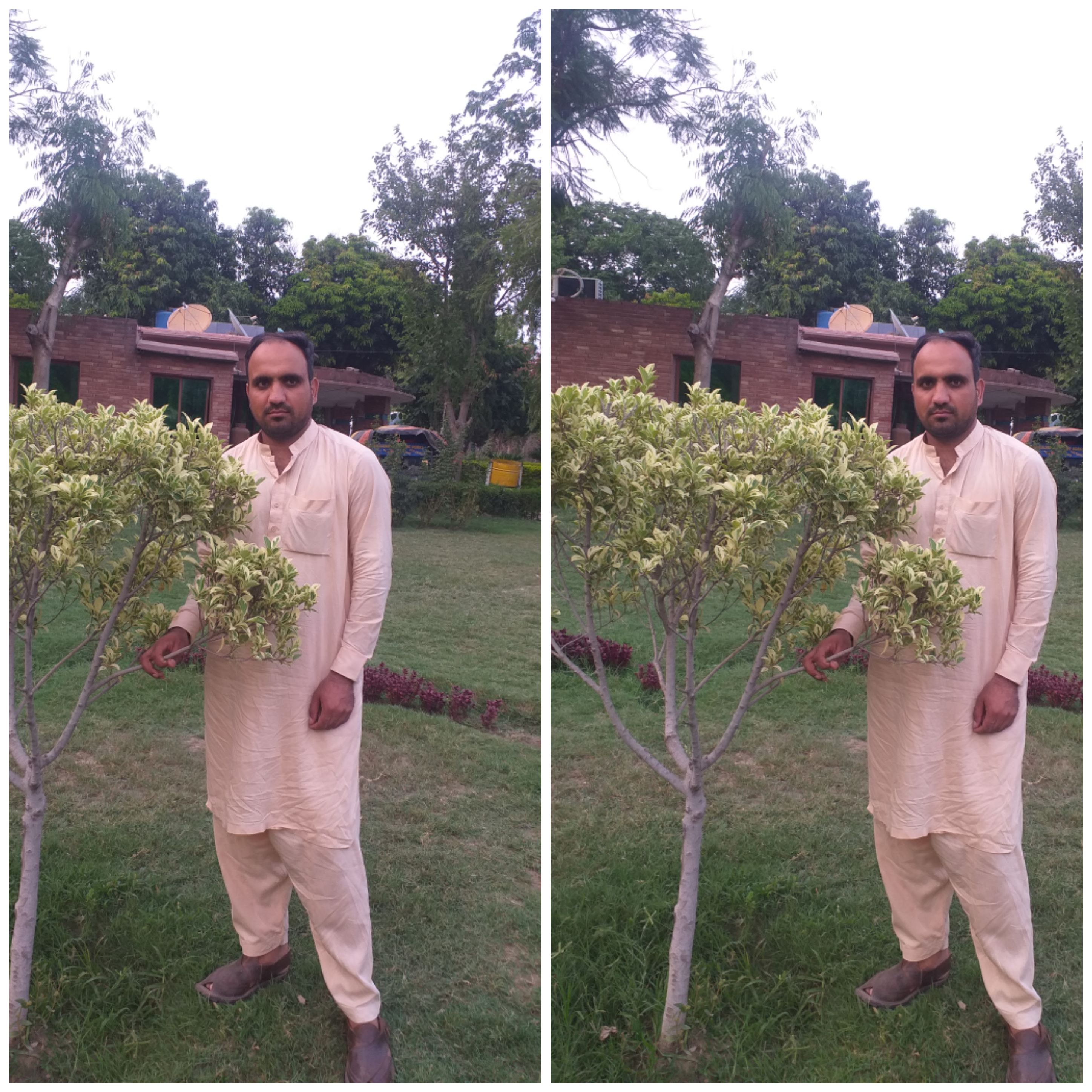 Yasir Ahmed MS Office, Photo Editing, Photoshop, Word