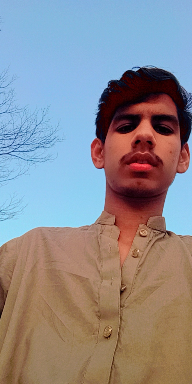 Shiphitan Irfan Profile