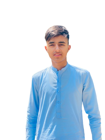 Mohsin Ali Profile Mohsin Ali Profile