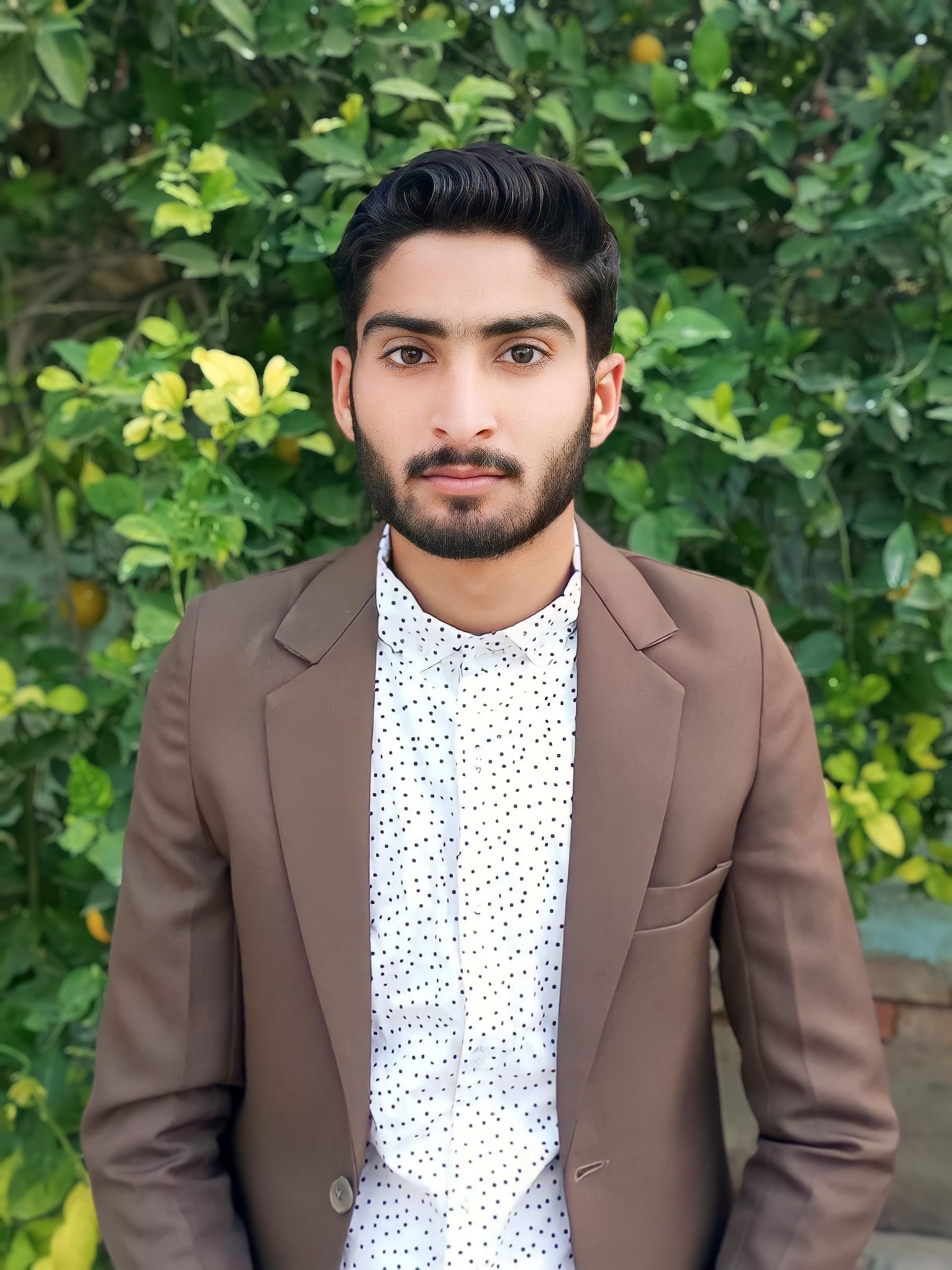 Mohsin Hussain Profile Mohsin Hussain Profile