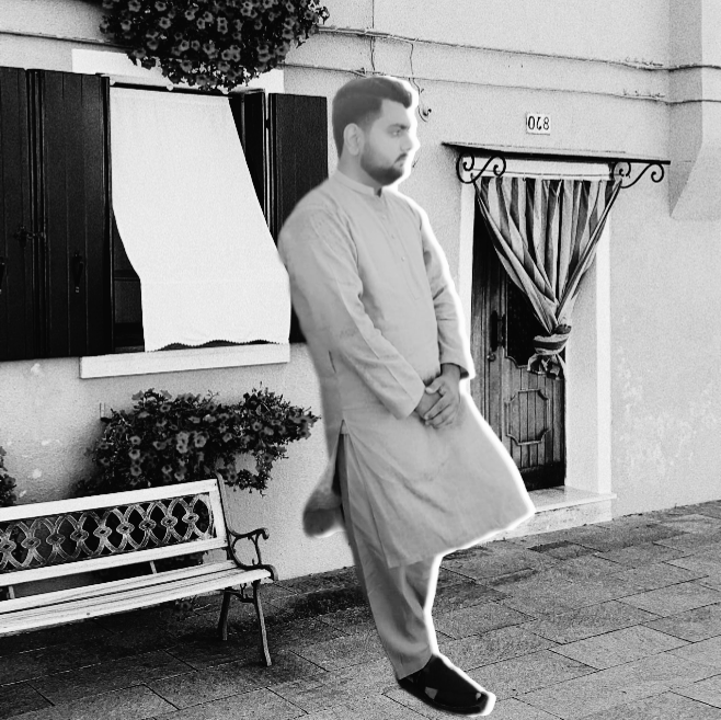 Muhammad Hamza Ameen English Typing, Driving, MS Office, Audio Services, Photo Editing, Print, Word, Audit, Accounting, Business Analysis