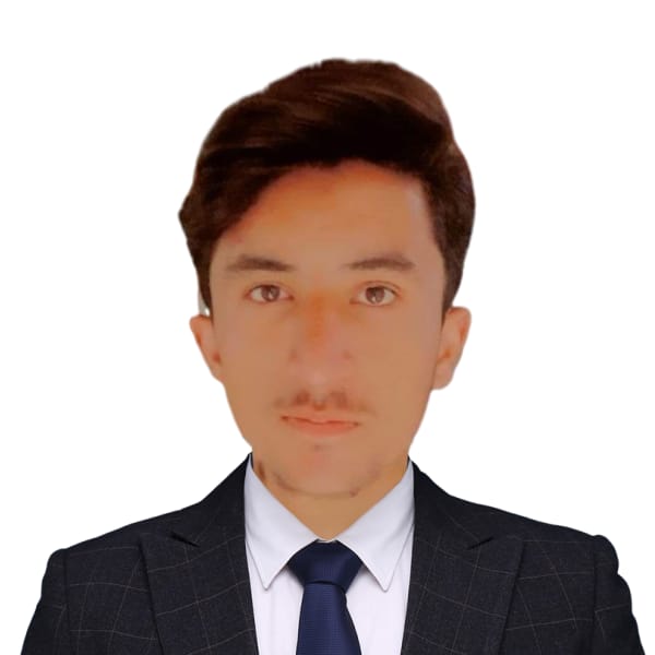 Bahadur Zaib Profile