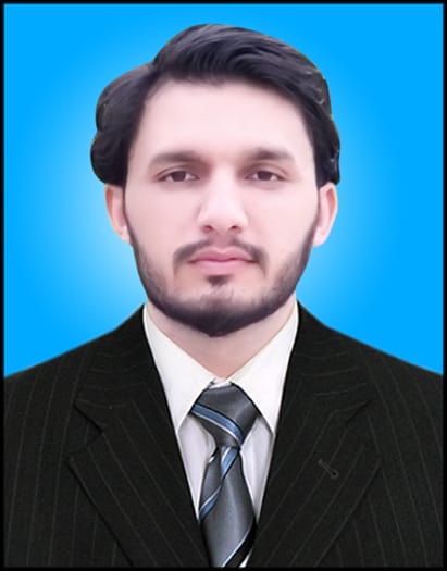 Muhammad Ismail English Typing, MS Office, Data Entry, Counseling Psychology, Case Study Writing