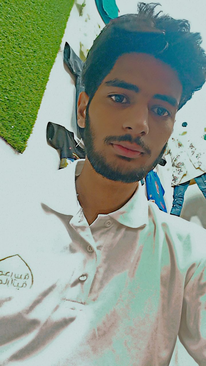 Syed Ahmed Driving, Arts & Crafts, Facebook Development, GameMaker, Editing, Poetry, Research, Comedy Writing, English Translation, Headlines