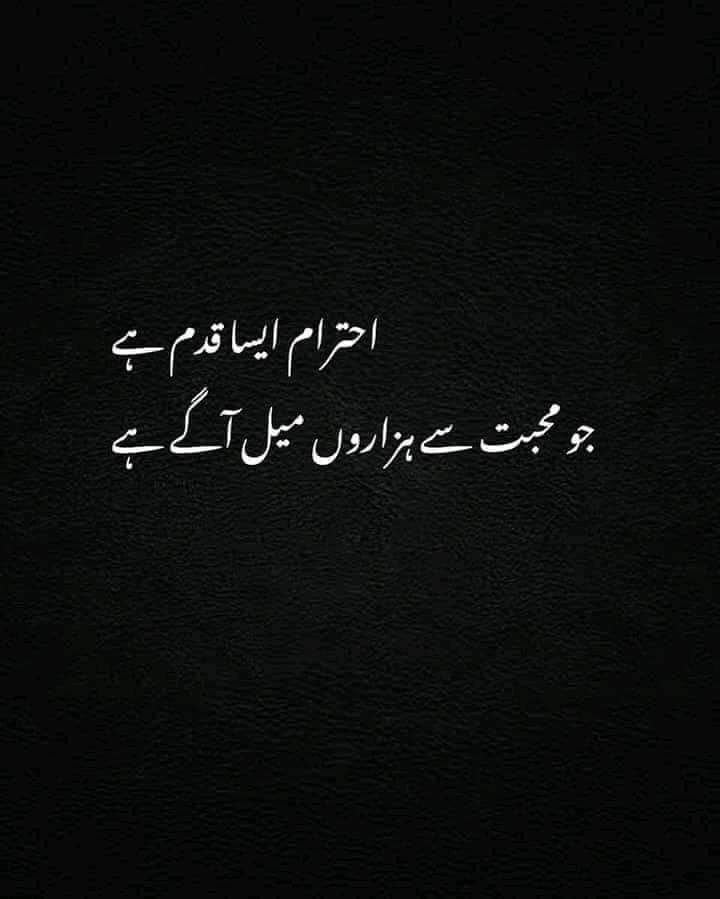 Nawazish Ahmed Shorthand, English Typing, Urdu Typing, MS Office, Driving, 3D Animation, 3D Modelling, 3D Design, 3D Rendering, Adobe LiveCycle Designer