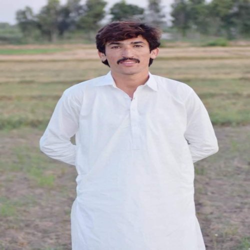 Sanwal Shahbaz English Typing, MS Office, Shorthand