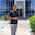 Ans Faisal Usmani English Typing, MS Office, 3D Design