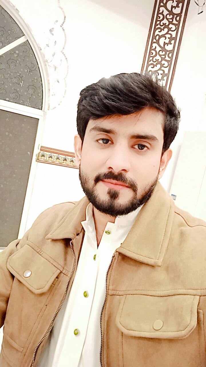 Zain Basharat Shorthand, Urdu Typing, English Typing, Cooking, Driving, MS Office, 3D Design, 3D Modelling, Adobe LiveCycle Designer, Graphic Design