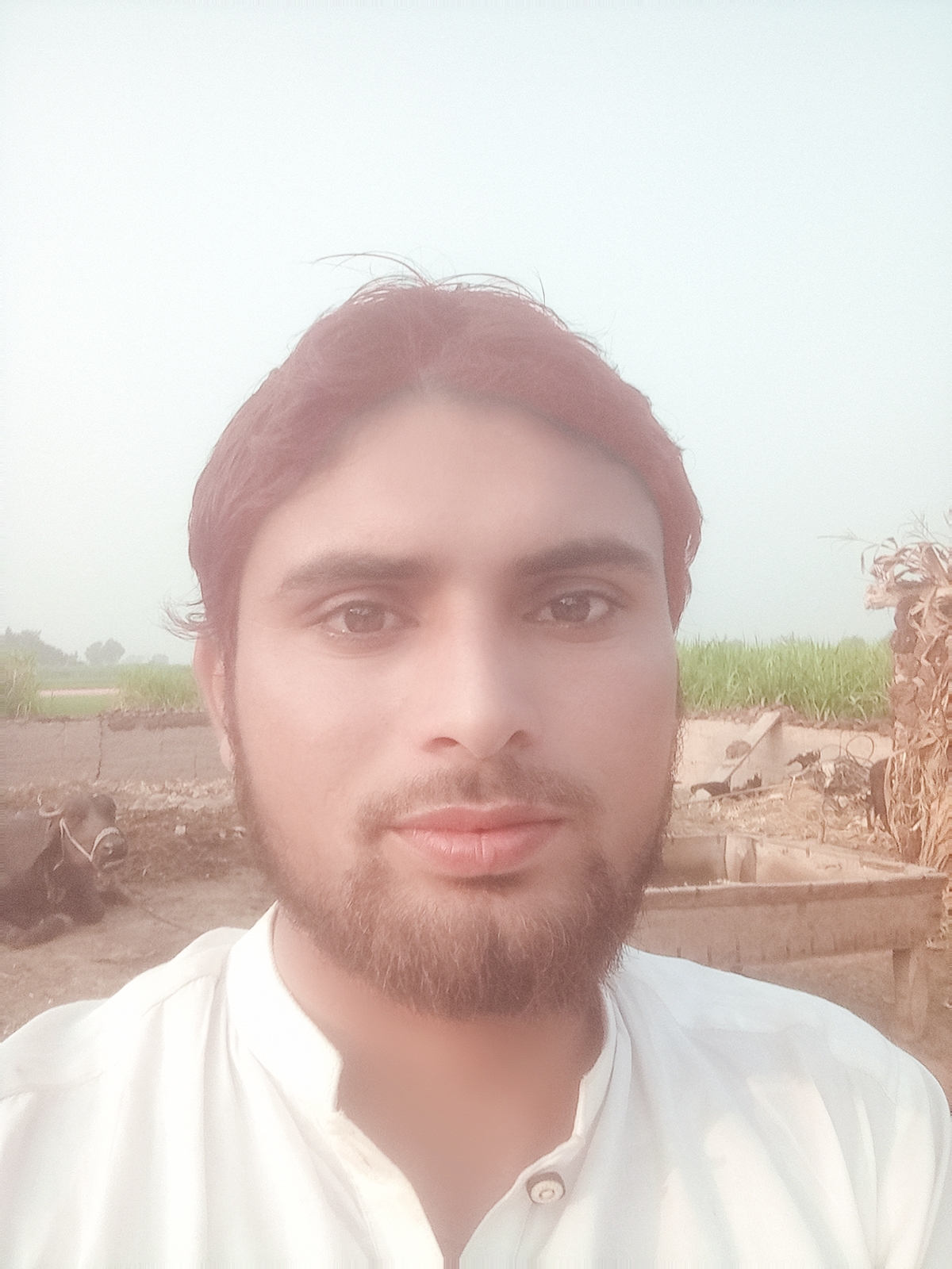 Muhammad Kashif Profile Muhammad Kashif Profile