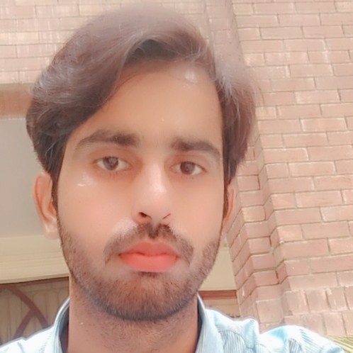 FARAZ ALI Profile FARAZ ALI Profile