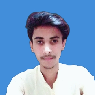 Faizan Ali Profile Faizan Ali Profile