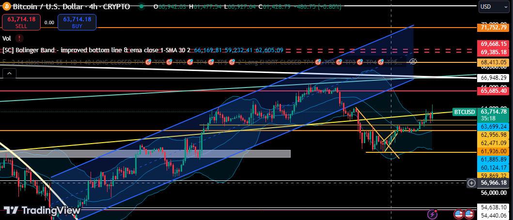 Muhammad Aamir Profile