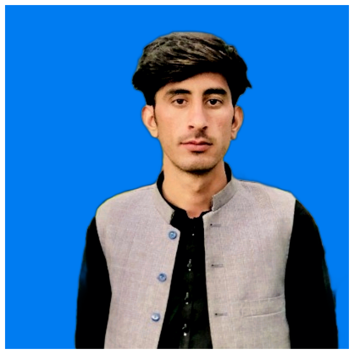 Ayub Khan Urdu Typing, English Typing, MS Office, Photography, Social Media Post Design, Video Post-editing, Business Analysis, Accounting, Personal Development, Business Strategy