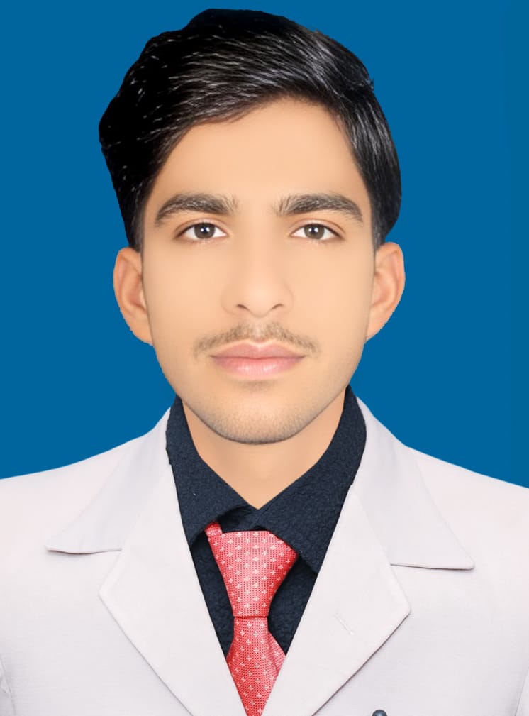 MUHAMMAD Hasnain MS Office, Housework