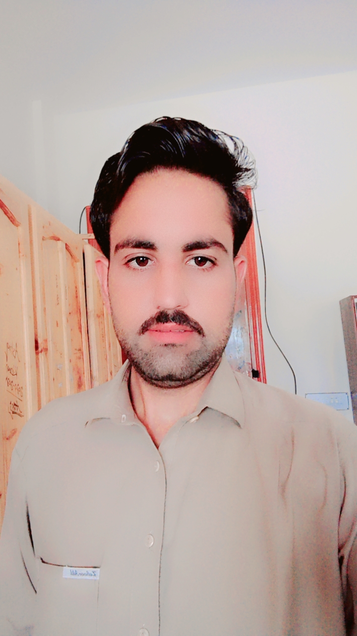 Shafiq Ullah English Typing, Driving, MS Office, Video Tours, Google Slides, Logo Animation, Sound Effects, Video Post-editing, Vector Tracing