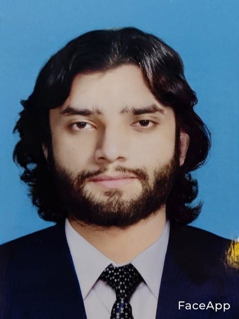 Hasnain Musawar English Typing, MS Office, Website Design, WordPress Design, WEBDEV, Computer Science, Call Center, Inbound Marketing