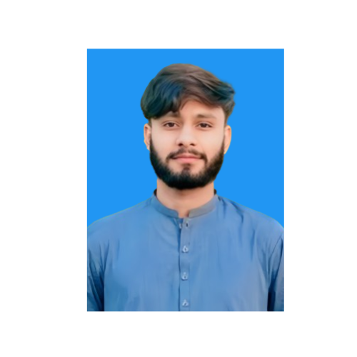 Moazam Ali Khan English Typing, MS Office, Adobe Fireworks, Project Management Office, Data Entry, Email Handling, Microsoft Office, Computer Repair, Amazon, Editing