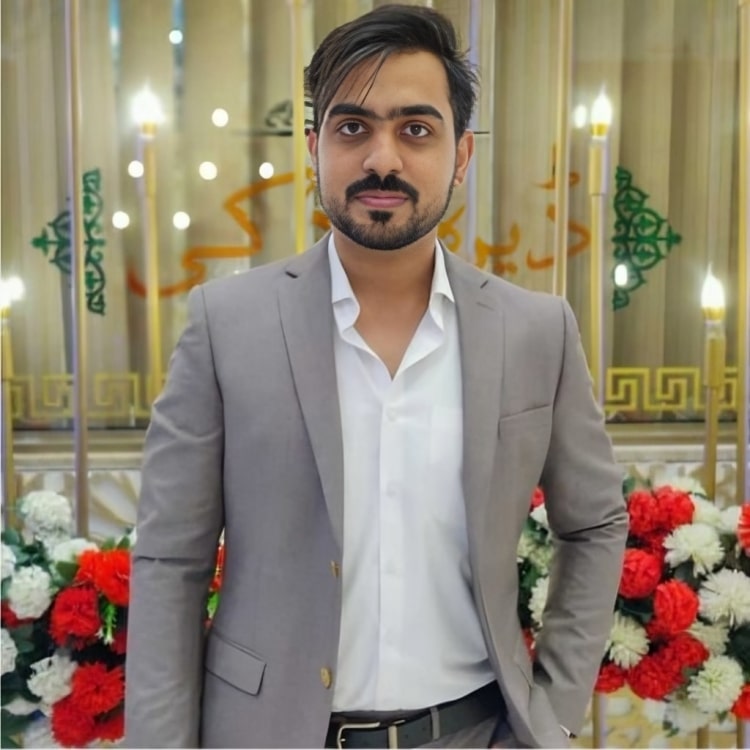 Ameer Hamza Khan Profile Ameer Hamza Khan Profile