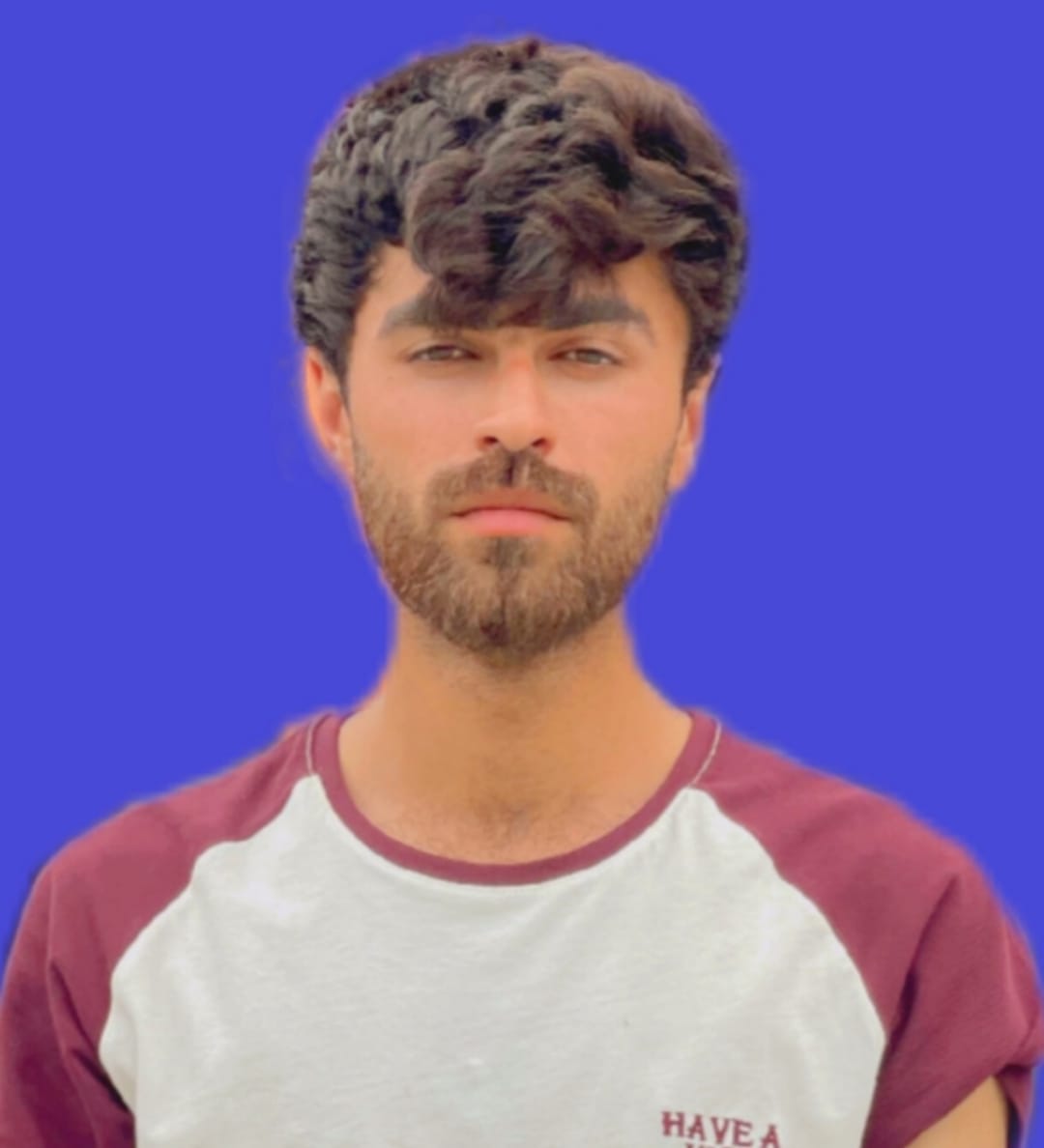 Talha Farooq Profile Talha Farooq Profile