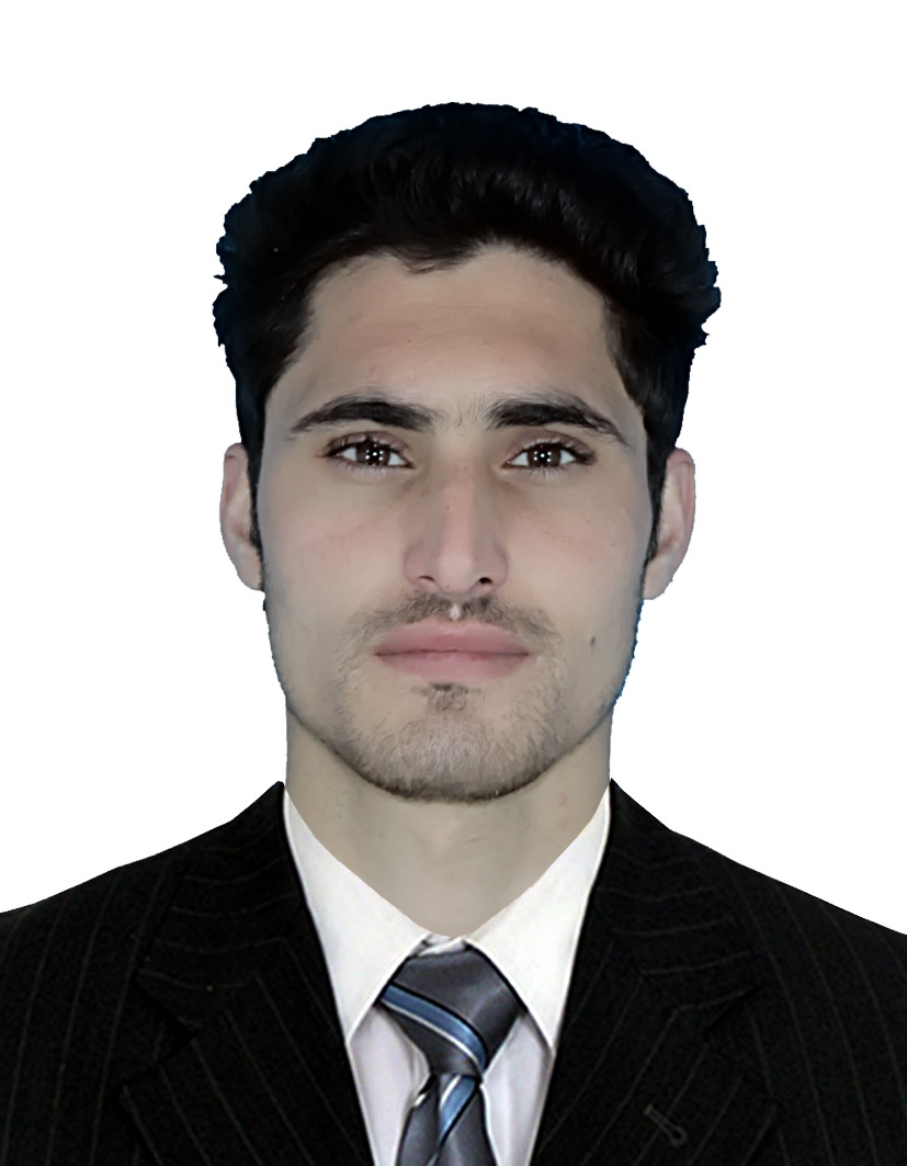 Liaqat Ali English Typing, MS Office, Consulting