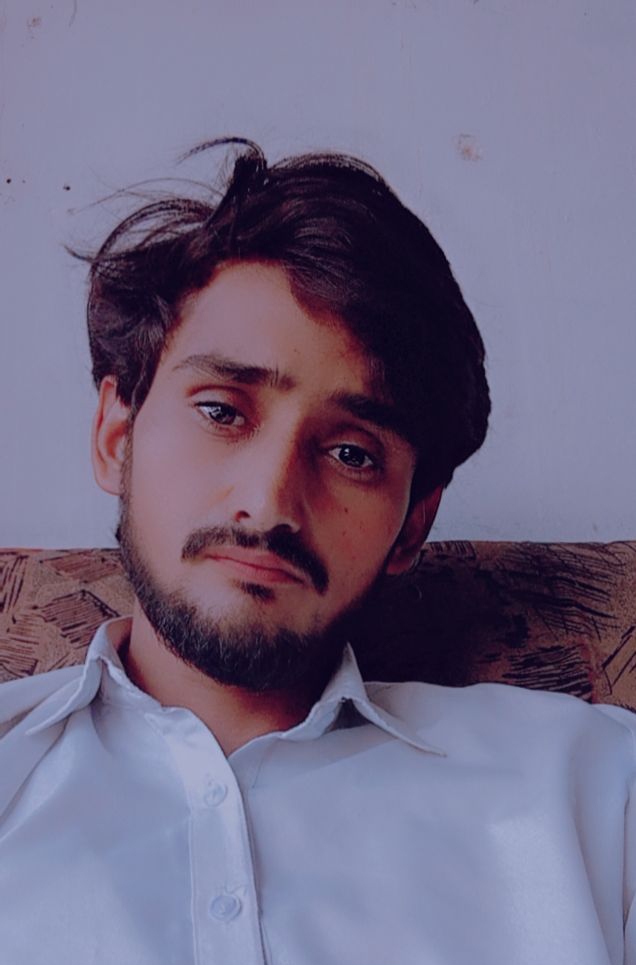 Muhammad Aftab Urdu Typing, English Typing, Canva, Management, Data Entry, Microsoft Office, English Teaching, Communications, Creative Writing, Translation