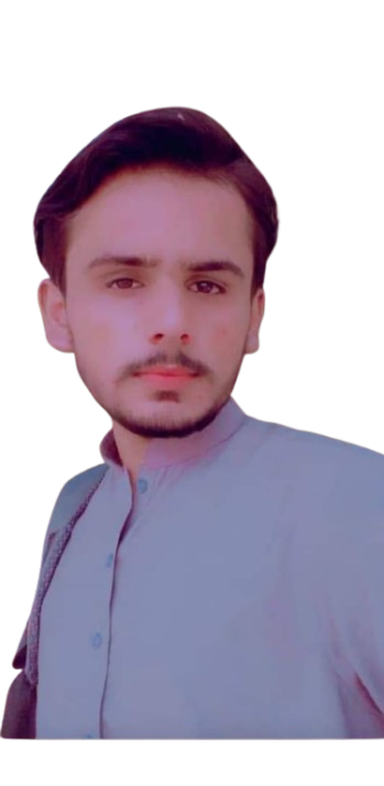 Amir Altaf Web Development