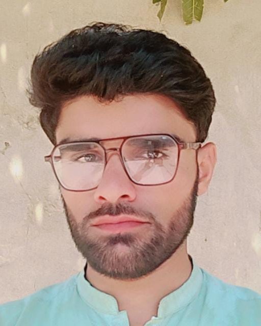 SALMAN AHMAD English Typing, MS Office, Website Design, WordPress Design, Website Management, Website Testing, Web Development, Website Optimization, Web Designing