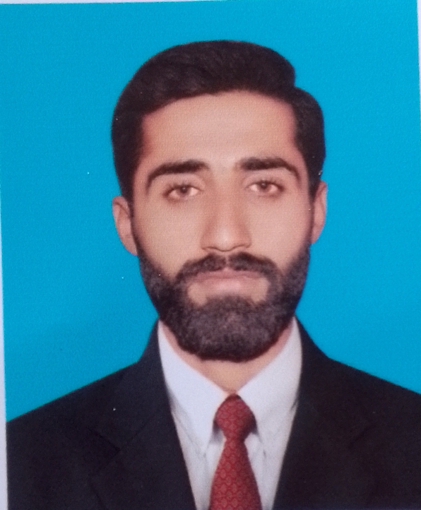 Ali Raza English Typing, MS Office, Photography, Pre-production, Print, Character Illustration, CV Design, Accounting, Business Management