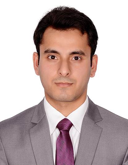 HASSAN HABIB Teaching