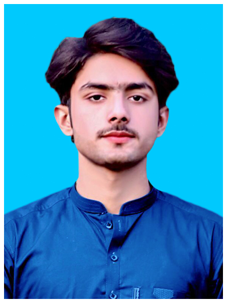 Usama Mehmood Excel, Word, Powerpoint, Photoshop, Graphic Design, HTML, CSS