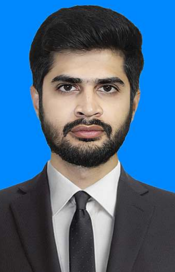 Ameer Hamza Profile