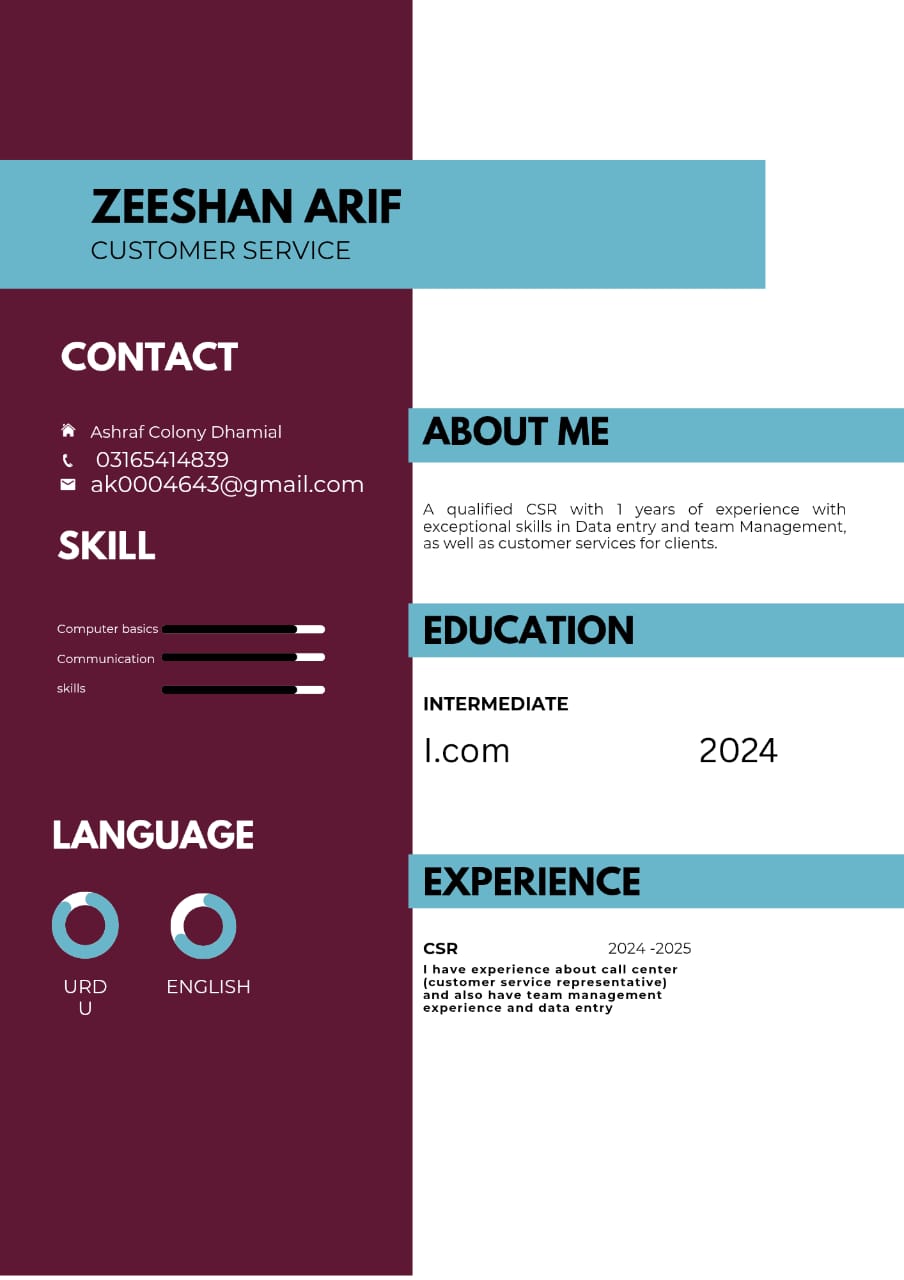 Zeeshan Arif English Typing, MS Office, Communications, ECommerce
