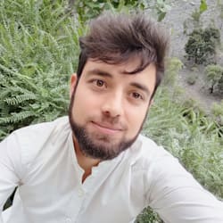 Muhammad Salman English Typing, MS Office, Website Optimization, Wordpress, SEO, Digital Marketing, Web Development, Web Security, Blog