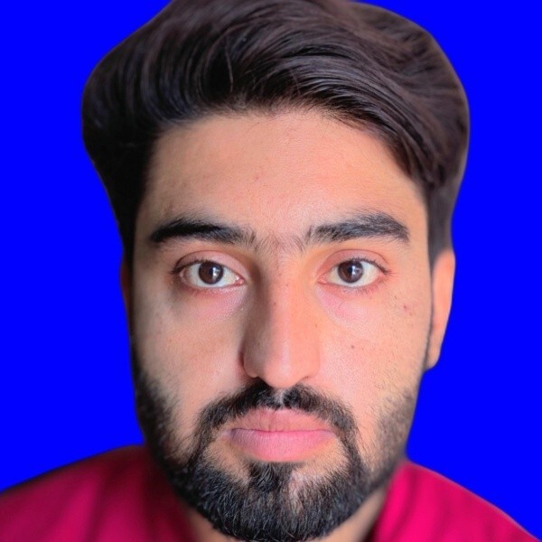 Muhammad Arslan English Typing, MS Office, Accounting, Audit, Business Analysis, Business Plans, ERP, Human Resources, Inventory Management, Management